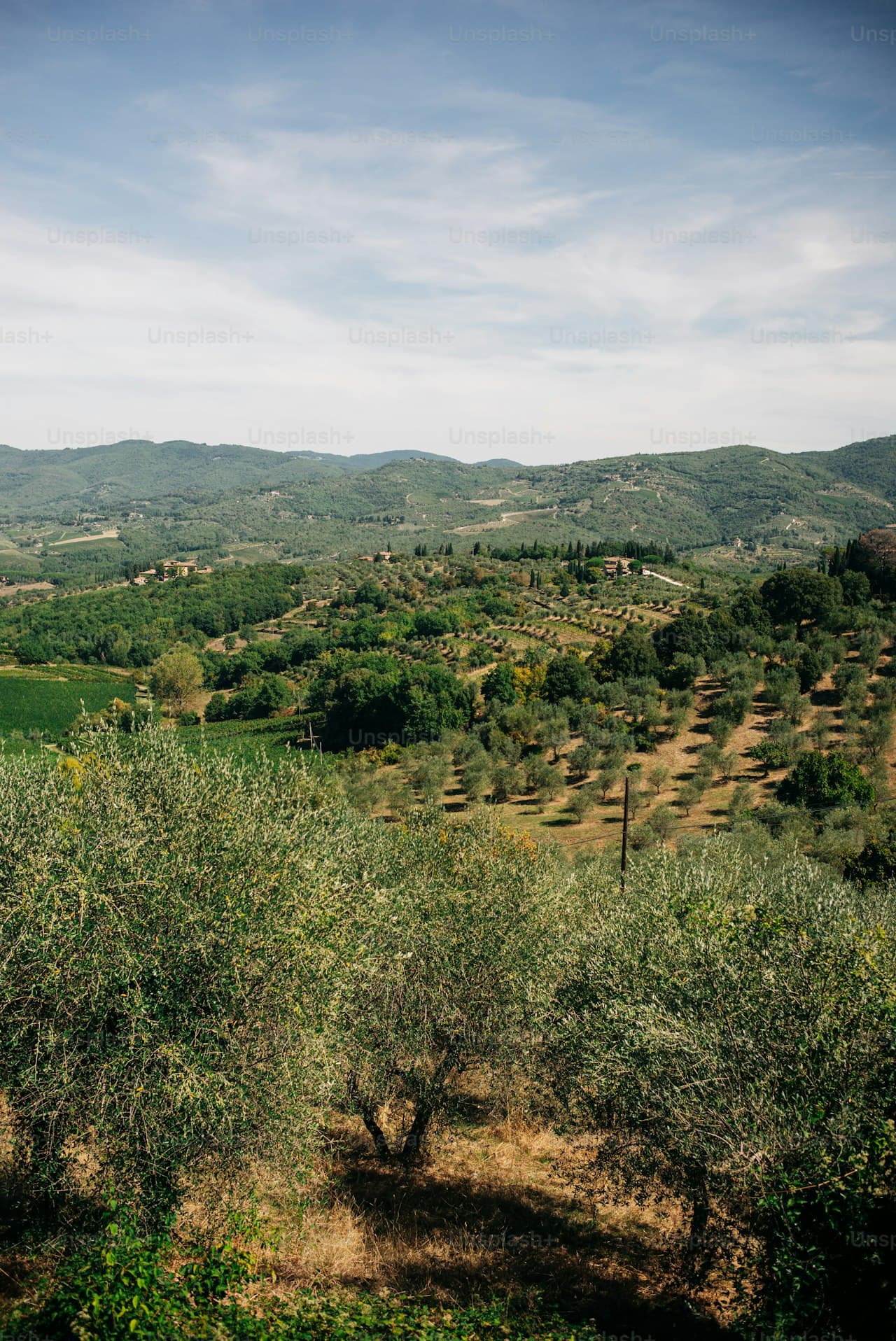Arid landscape of Castilla-La Mancha, Spain, evoking the provincial setting of Galdós's Doña Perfecta