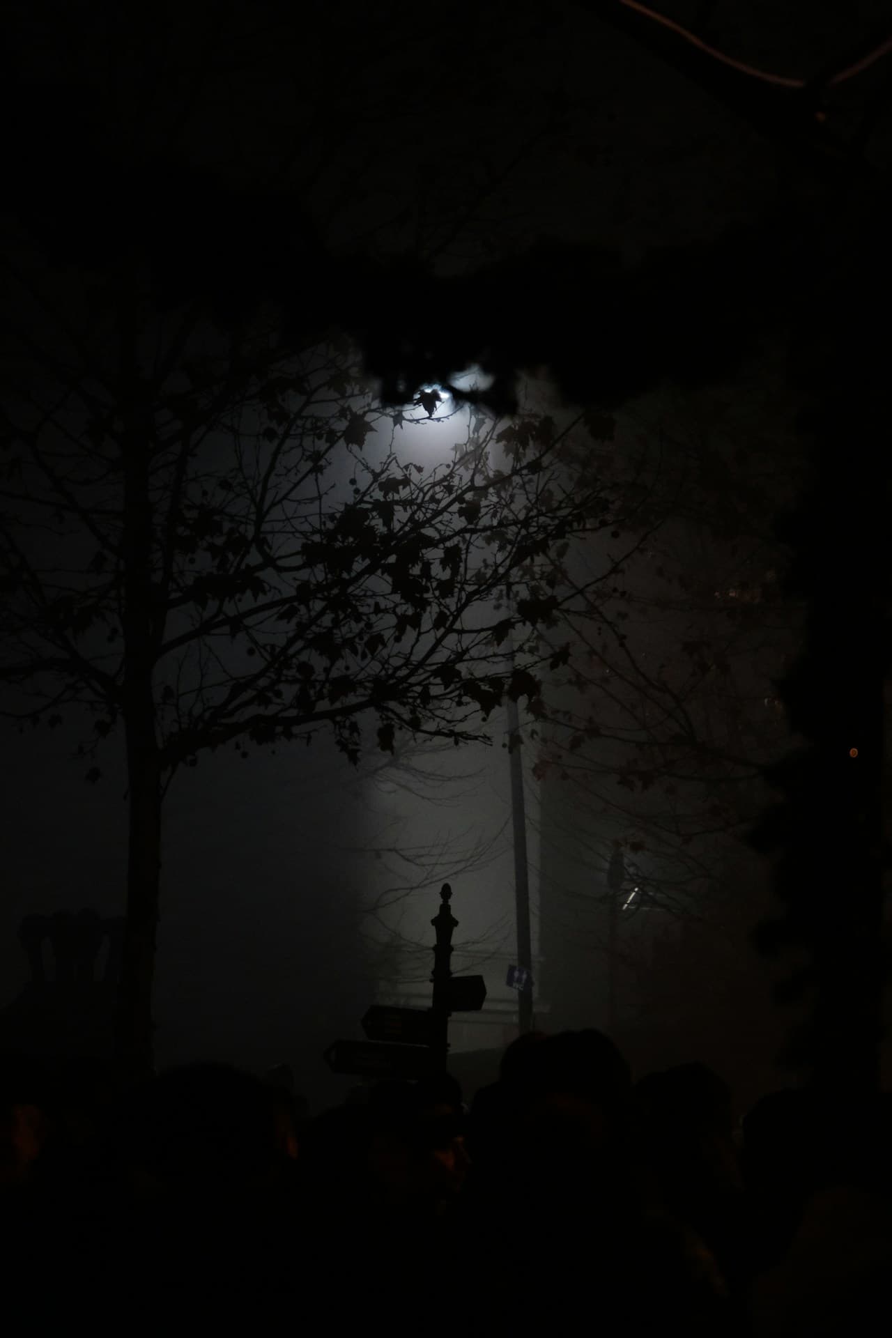 Foggy street with a dim lamp, evoking the existential atmosphere of Unamuno's Niebla (Mist)